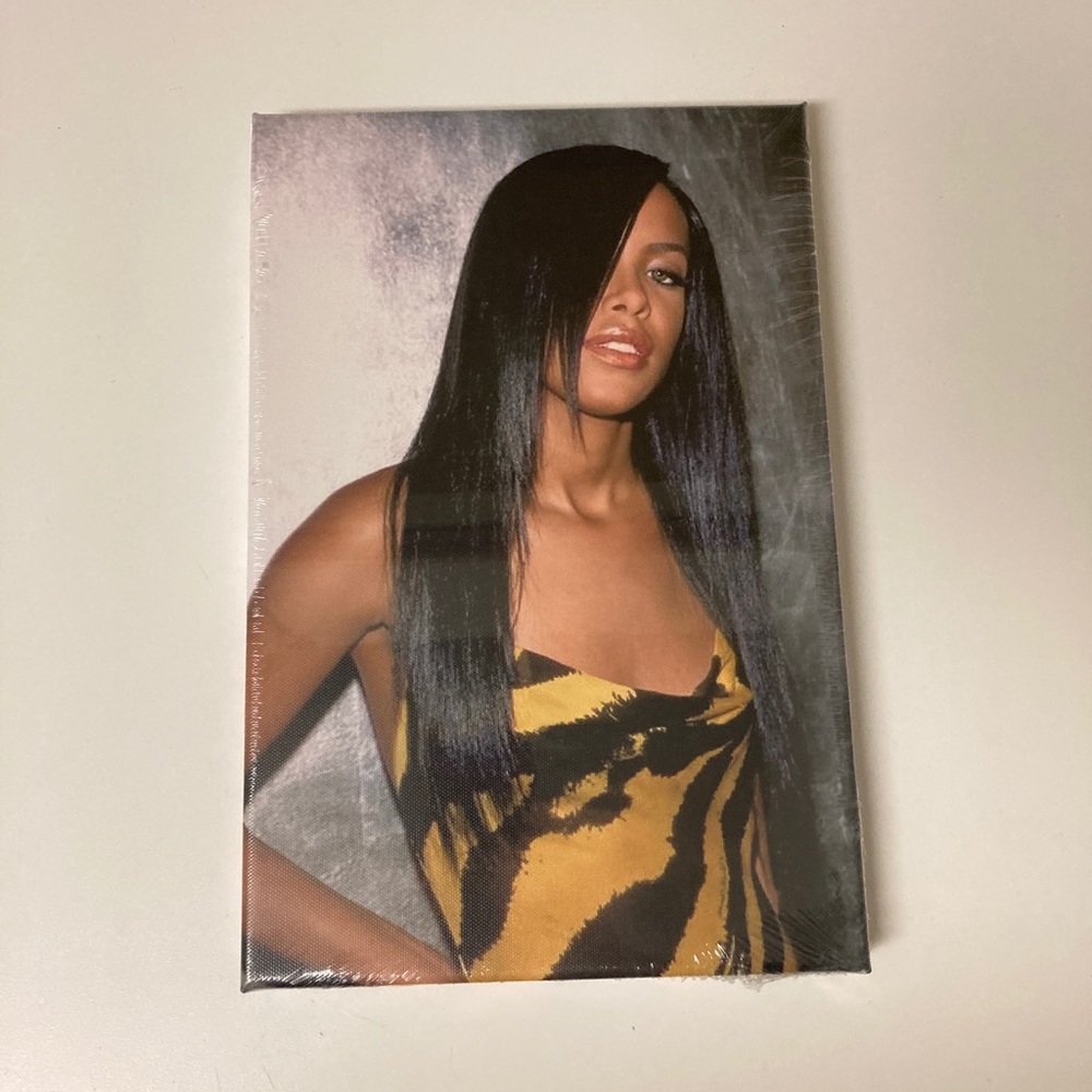 New! Aaliyah Canvas Wall Art 8x 12” Dress pose